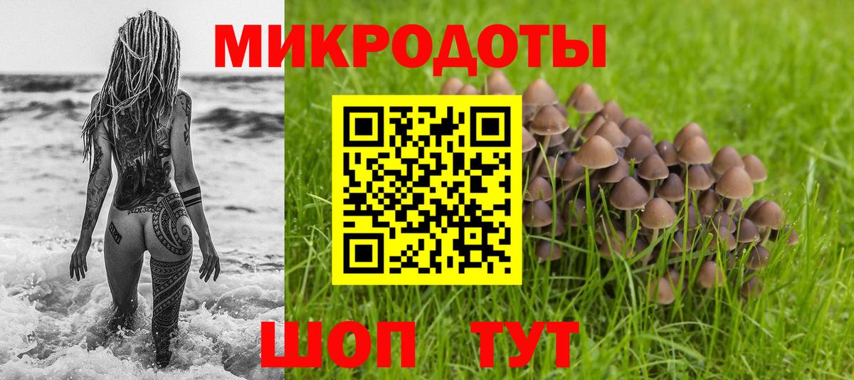 Галлюциногенные грибы MAGIC MUSHROOMS  Вход с VPN  Солнечногорск  Псилоцибиновые грибы Psilocybine cubensis 